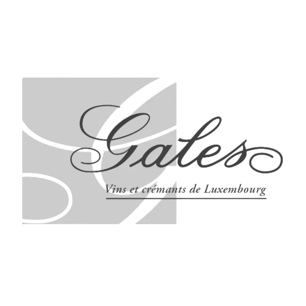 sponsors-tc-stade (7)